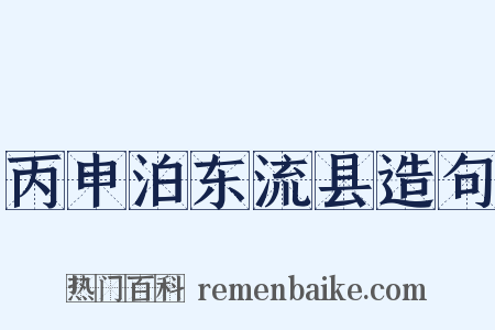 丙申泊东流县造句是什么意思的图片
